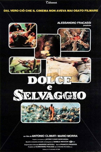 Póster de Dolce e selvaggio