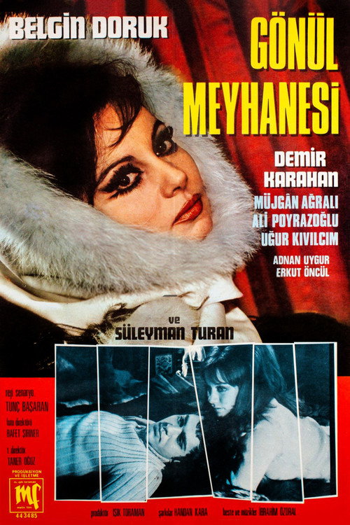 Póster de Gönül Meyhanesi