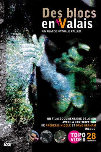 Póster de Des Blocs En Valais
