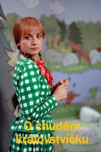 Póster de O chudém královstvíčku