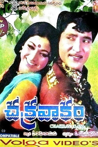 Póster de Chakravakam
