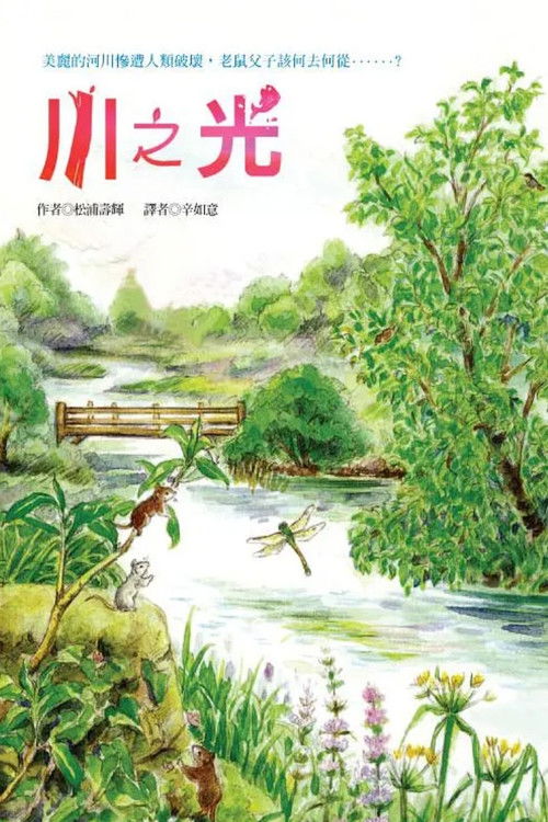 Póster de 川の光