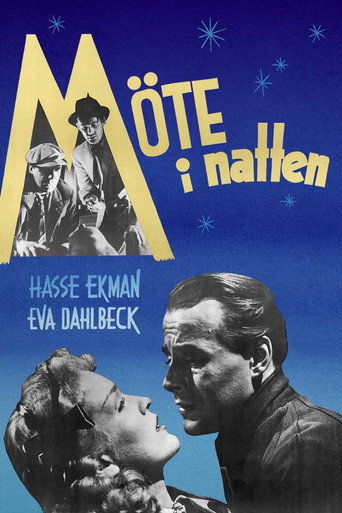 Póster de Möte i natten