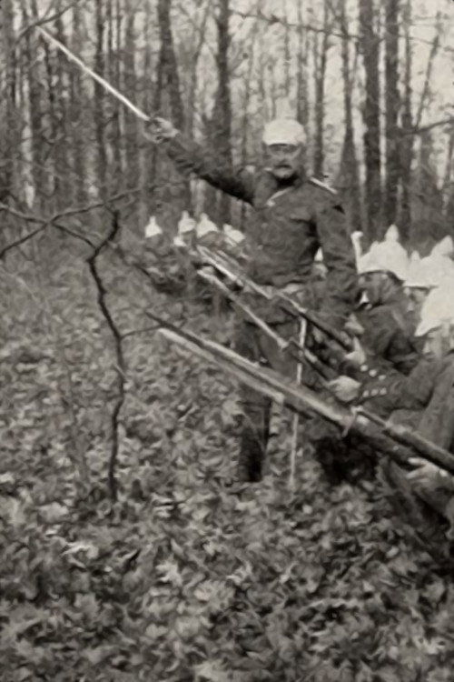 Póster de The Crimson Wing