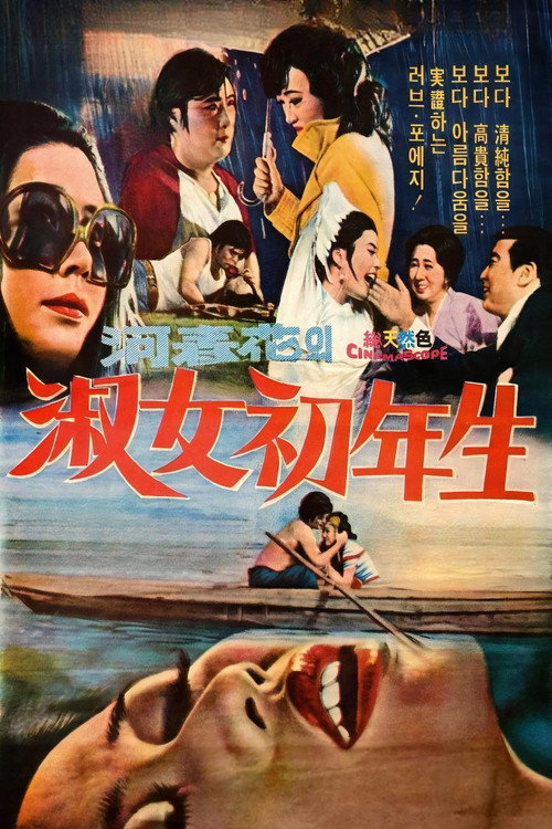 Póster de 숙녀 초년생
