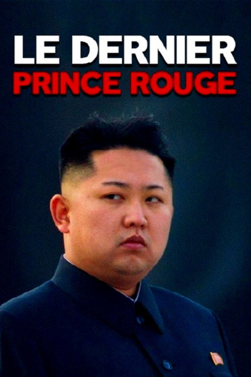 Póster de Le Dernier Prince rouge