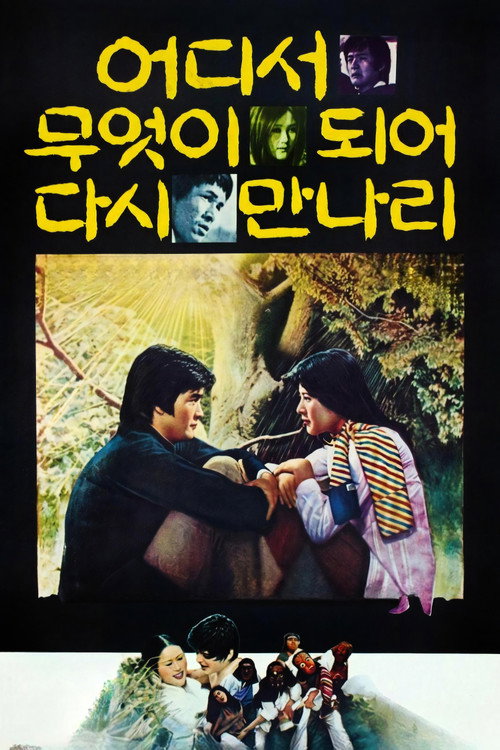 Póster de 어디서 무엇이 되어 다시 만나리