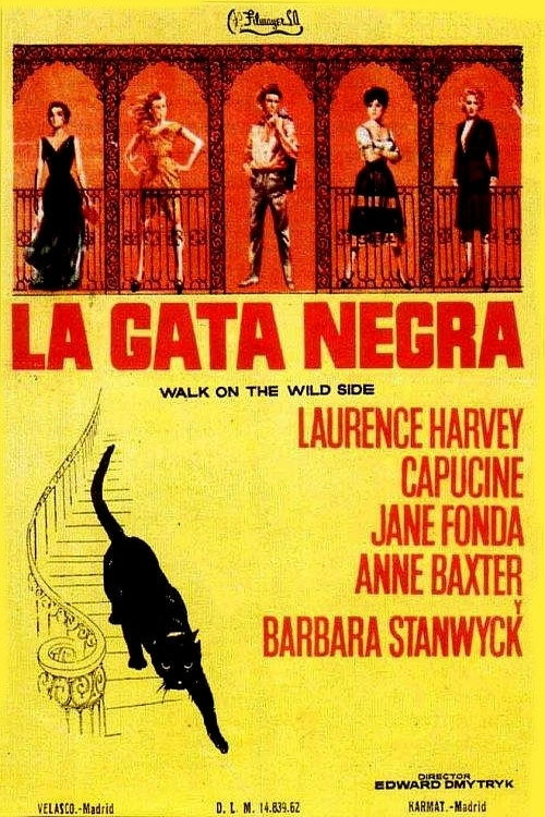 Póster de Walk on the Wild Side