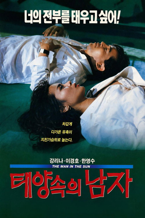 Póster de 태양 속의 남자