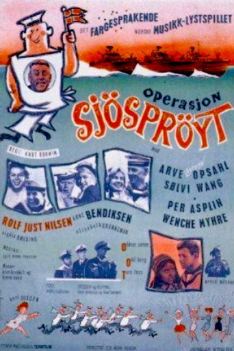Póster de Operasjon Sjøsprøyt