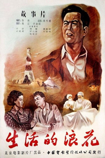 Póster de 生活的浪花