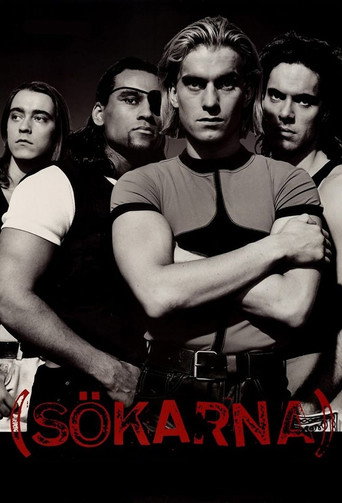 Póster de Sökarna