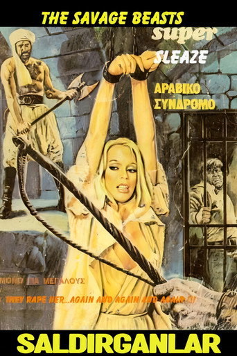 Póster de Saldırganlar