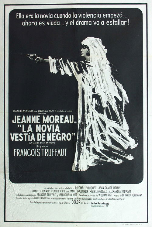 Póster de La mariée était en noir