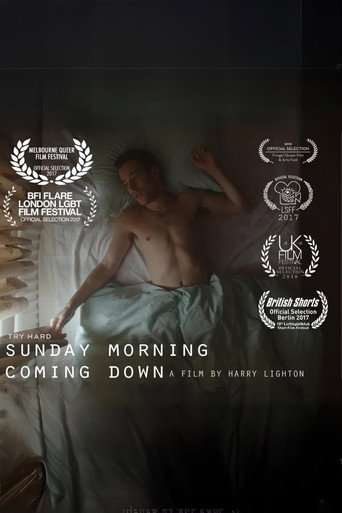 Póster de Sunday Morning Coming Down