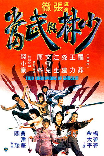 Póster de 少林與武當