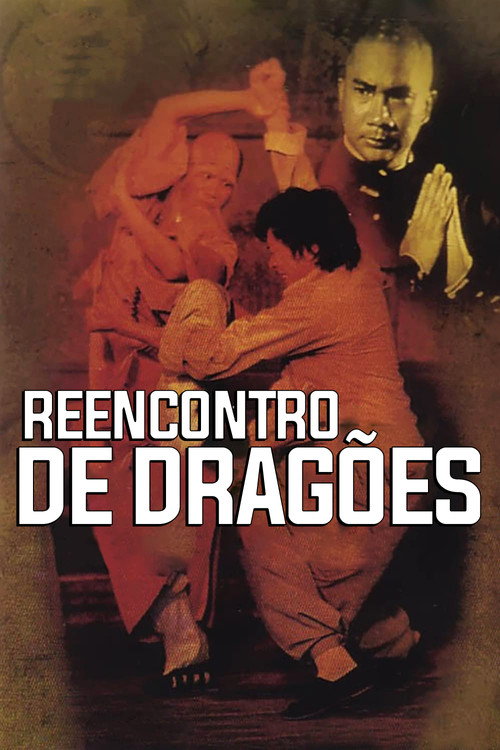 Póster de 佛掌羅漢拳