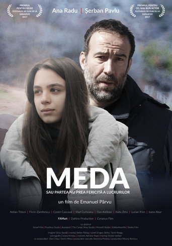 Póster de Meda sau partea nu prea fericită a lucrurilor