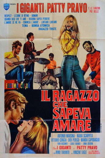 Póster de Il ragazzo che sapeva amare