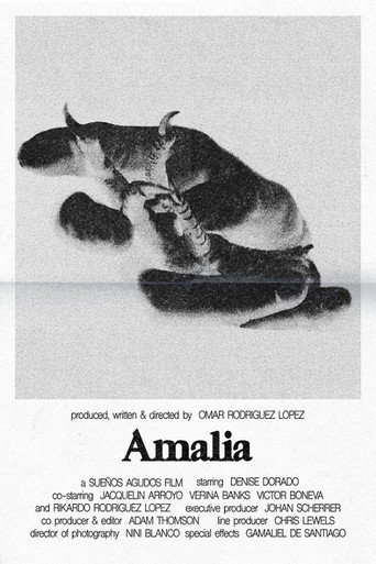 Póster de Amalia