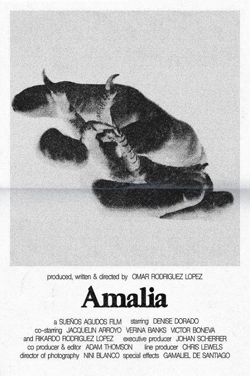 Póster de Amalia