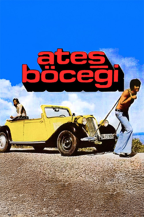 Póster de Ateş Böceği
