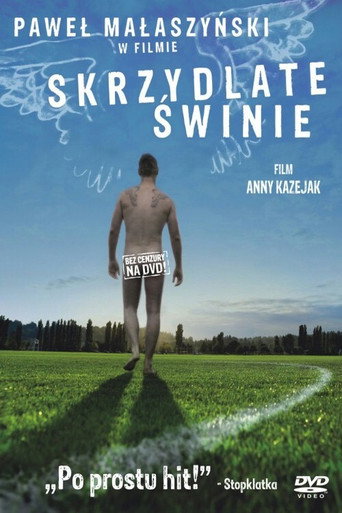 Póster de Skrzydlate świnie
