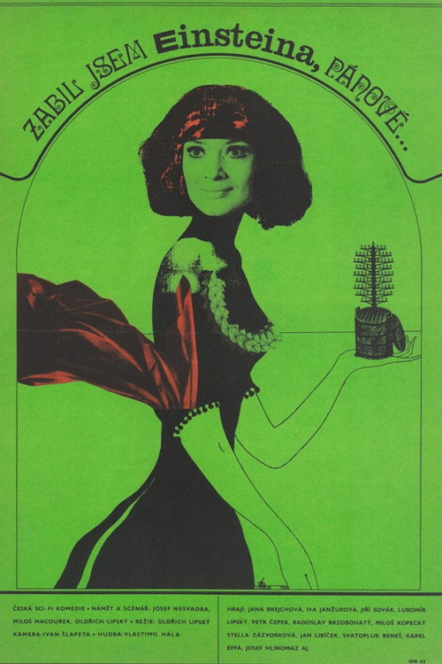 Póster de Zabil jsem Einsteina, pánové...