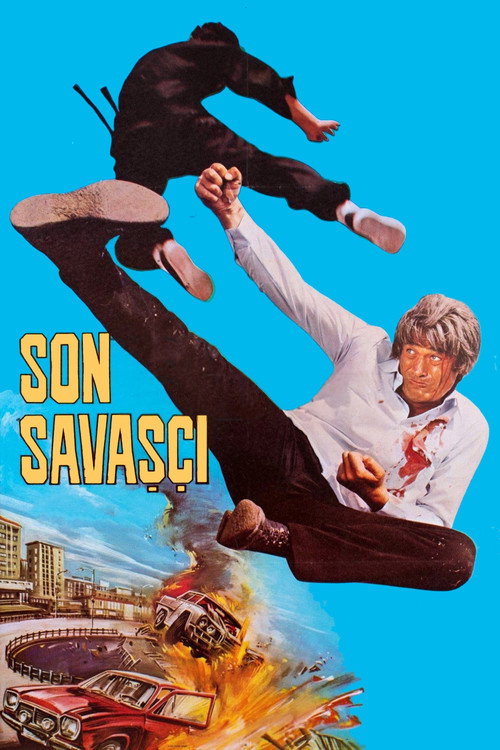 Póster de Son Savaşçı