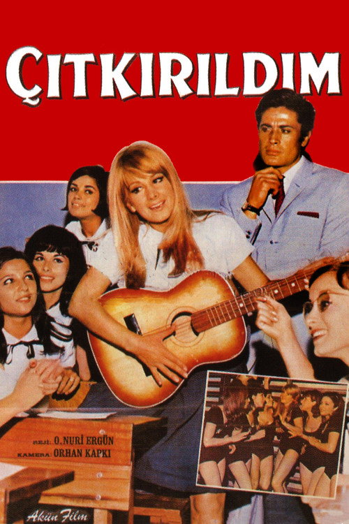 Póster de Çıtkırıldım