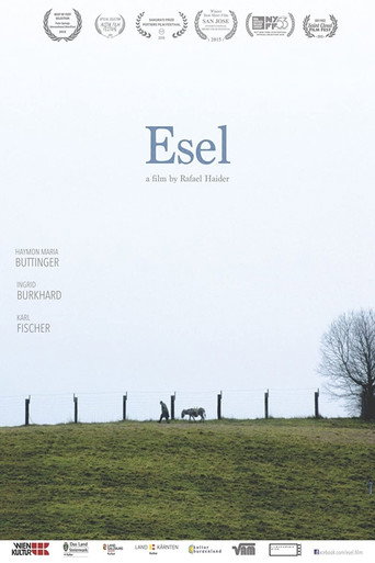 Póster de Esel
