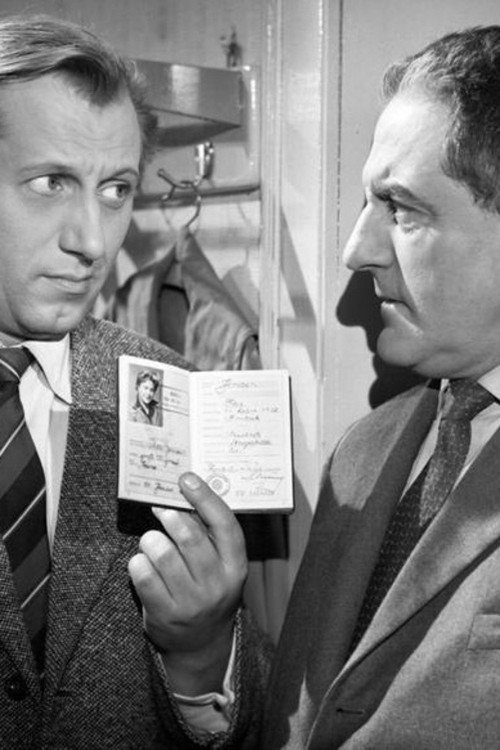 Póster de Bonner Pitaval - Die Affäre Heyde-Sawade