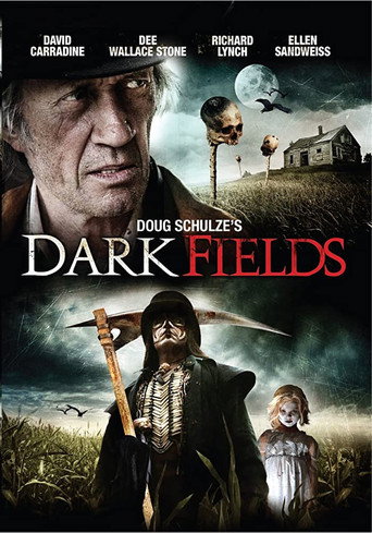 Póster de Dark Fields