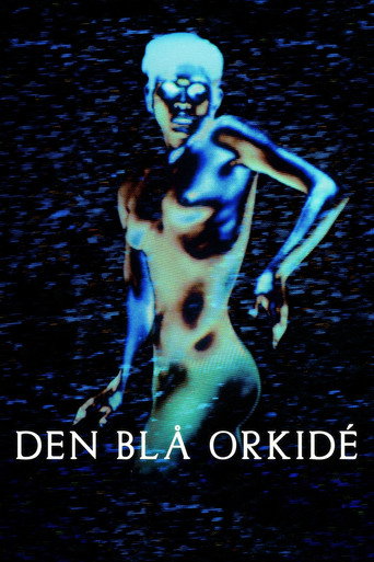 Póster de Den blå orkidé