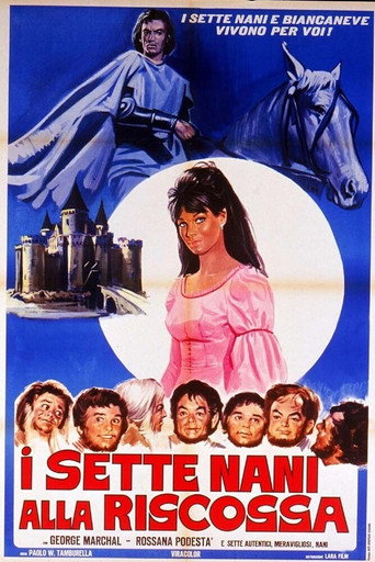 Póster de I sette nani alla riscossa