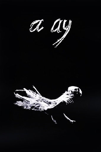 Póster de A Ay