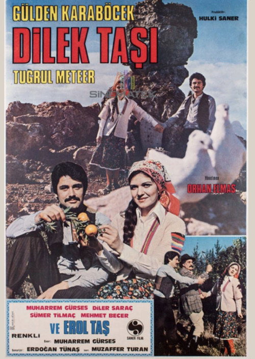 Póster de Dilek Taşı