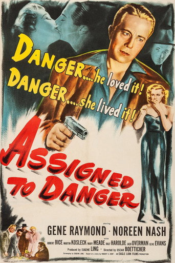 Póster de Assigned to Danger