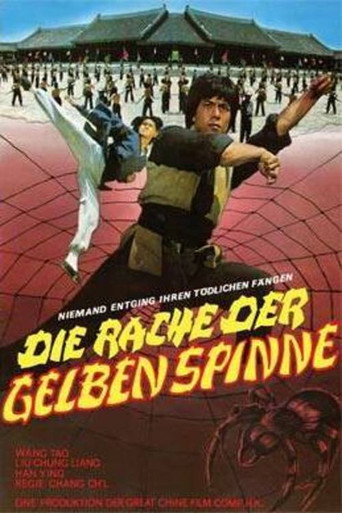 Póster de Death Duel of Kung Fu