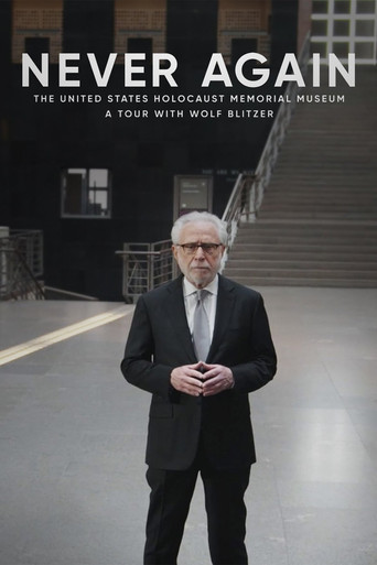 Póster de Never Again: The United States Holocaust Memorial Museum - A Tour with Wolf Blitzer