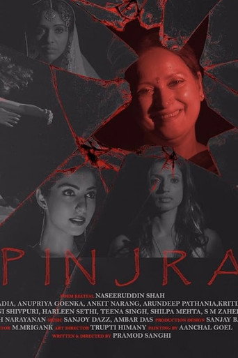Póster de Pinjra