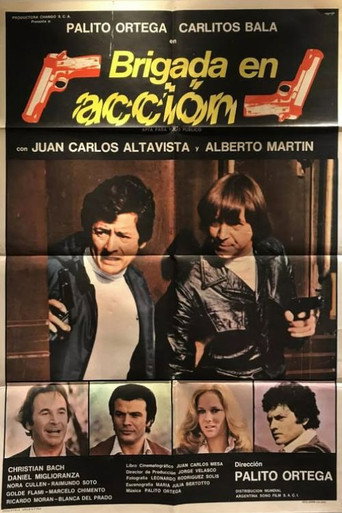 Póster de Brigada en acción