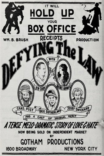Póster de Defying the Law