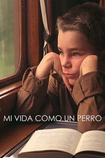 Póster de Mi Vida Como Perro