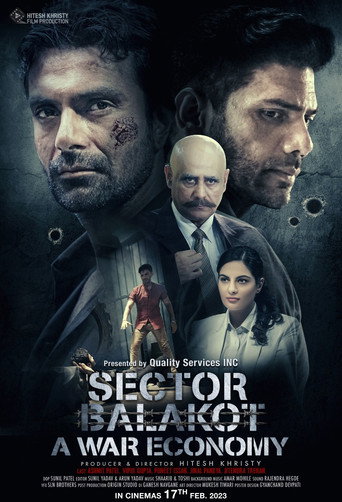 Póster de Sector Balakot