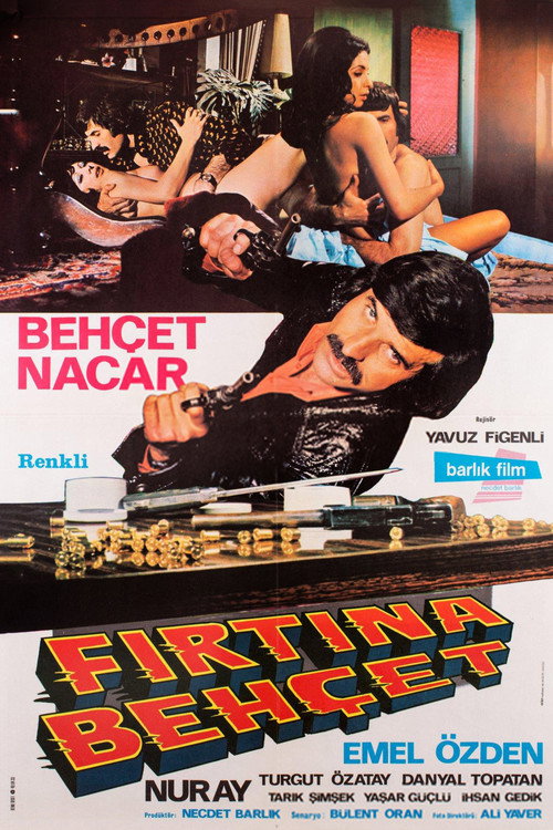 Póster de Fırtına Behçet