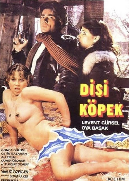 Póster de Dişi Köpek