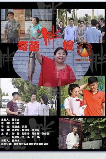 Póster de 奇葩胖嫂