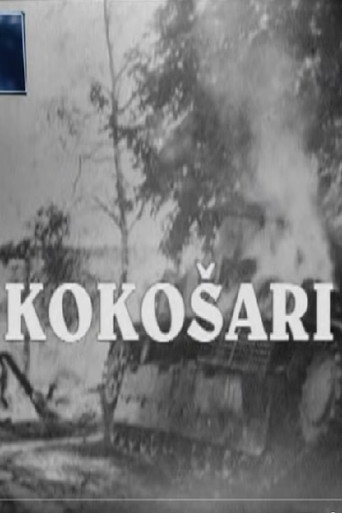 Póster de Kokošari