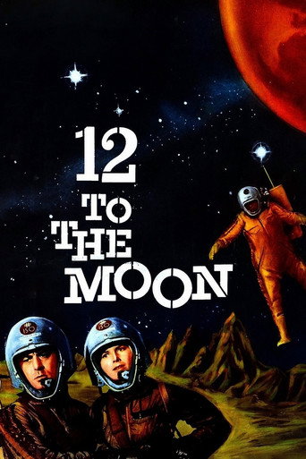 Póster de 12 to the Moon